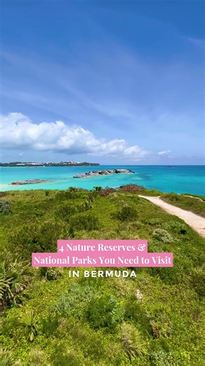 Explore Bermuda's Natural Parks and Reserves