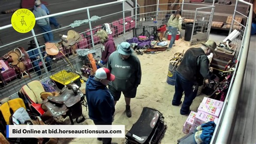Jones Livestock Auction - Jones, Oklahoma | Horse Auctions USA