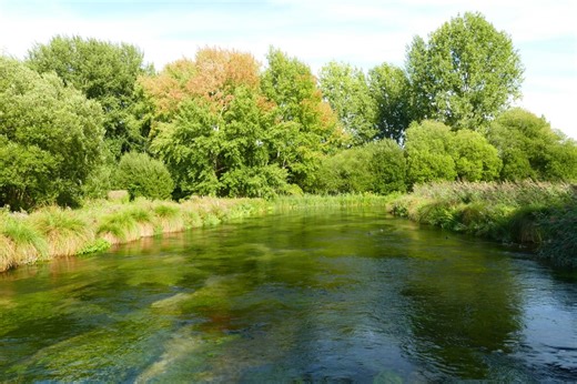 18K views · 53 reactions | What are your plans for the weekend? How about this? The free step-by-step guide is on our website now, the link is in the comments. And make sure to stop at the lovely The Cricketers Inn, Easton, for your refreshments, especially Ambling Path Members who get 10% off food! Sign up to become a member on our website and get the discount code. *our meal was kindly gifted | The Ambling Path - Family Friendly Walks | Facebook