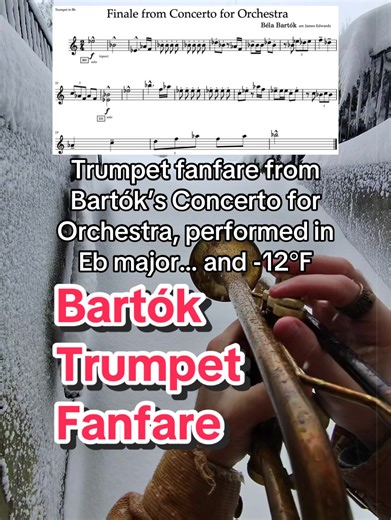 now i understand why this piece has historically been performed indoors #BlizzardCore #BelaBartok