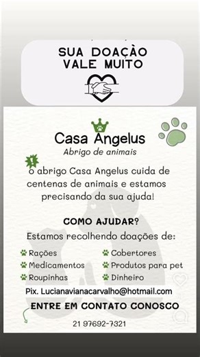 #sbt #sbtnews #rederecord #redeglobo #globo #tvglobo #band #cachorro #compartilhe #gatos #gato #cães