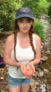 11K views · 733 reactions | Catching salamanders! #salamander #herping | Adria Marie | Facebook