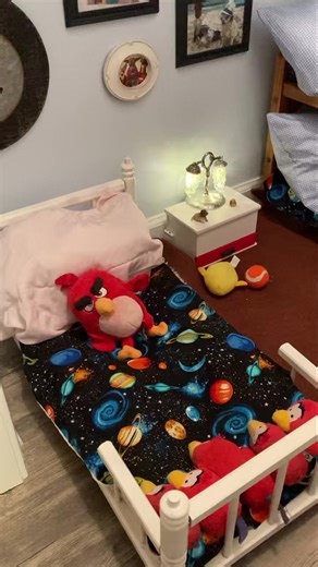 The tour of CHOCOs house….🐶🐾❤️😂 | Choco the Macho Chihuahua