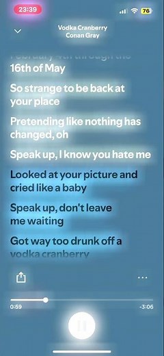 Vodka Cranberry - Conan Gray (lyrics)