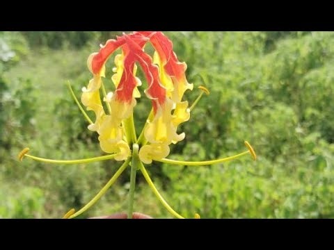 Ek achcha kam karo#short #viral 💕💕#shots