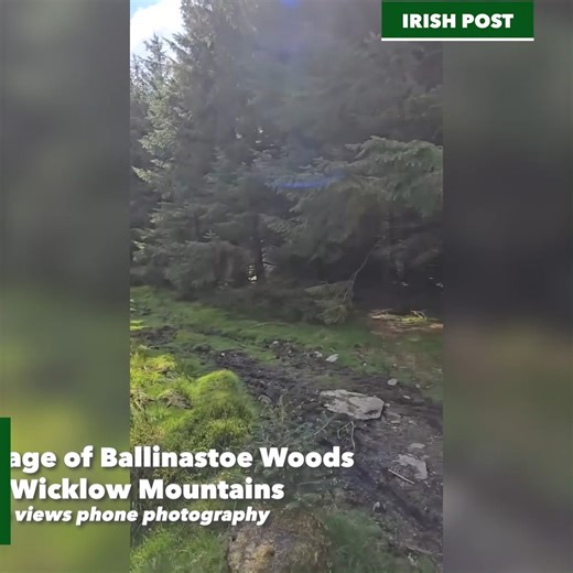 Gorgeous 💚 | The Irish Post