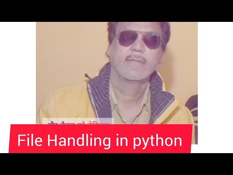 पायथन में फाइल हैंडलिंग सीखें और 7 दिन में डेटा मास्टर बनें