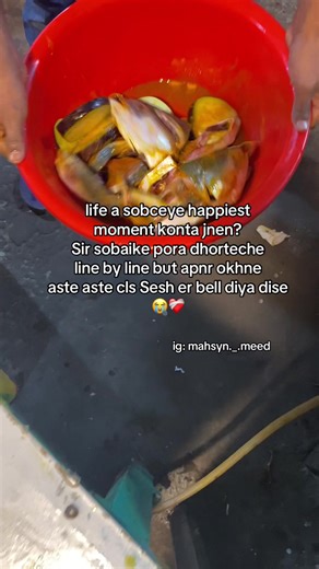 Exploring the Happiest Moments in Life
