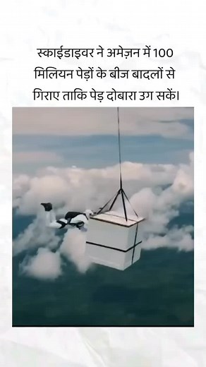 10K reactions · 81 shares | #वायरल #ट्रेंडिंग #रील्स IP प्राप्त...