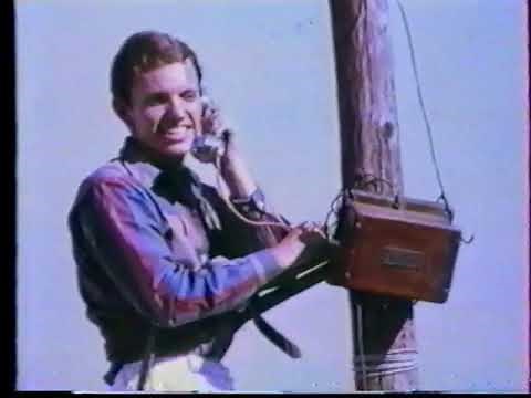 Frank Alamo - allo maillot 3837 ( 1964 )