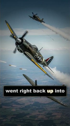 One-Eyed ACE: The Pilot Who Defied Death in the Pacific War