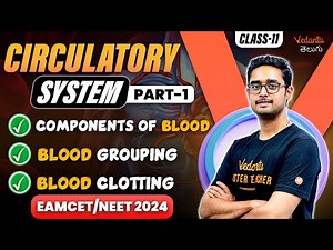 Circulatory System 01 | Blood and it's components Class 11 | EAMCET 2024 | NEET 2024 | Ajay sir