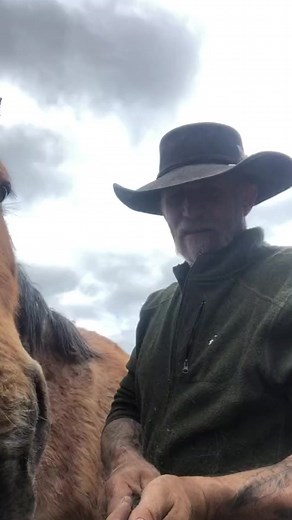 5.6K views · 363 reactions | David Edward Roberts on Reels | Facebook