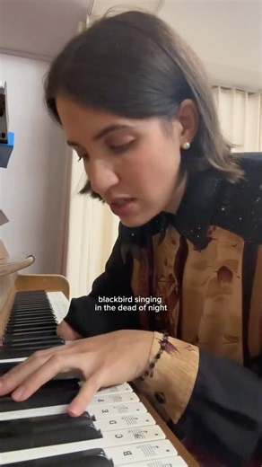 vc on Instagram: "every blackbird in its right place #blackbird #calming #piano #acoustic #emo #beatles"