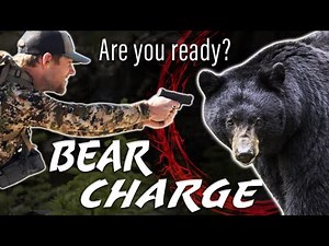 Update of Pistol or Handgun Defenses Against Bears