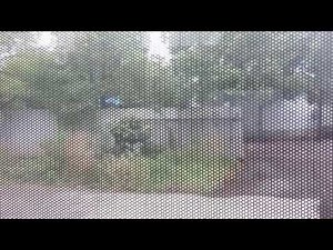 perforated window graphics (One way vision)