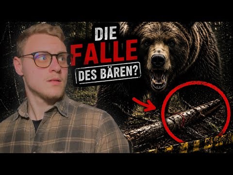 Ich jage BÄREN… und finde einen ULTRA SELTENEN LUCHS! | theHunter: Call of the Wild