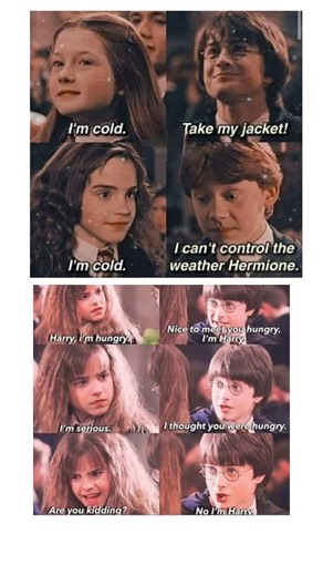 When Logic Takes a Day Off 😂 | Funny Conversation Meme #harrypotter #viral #trending #hp