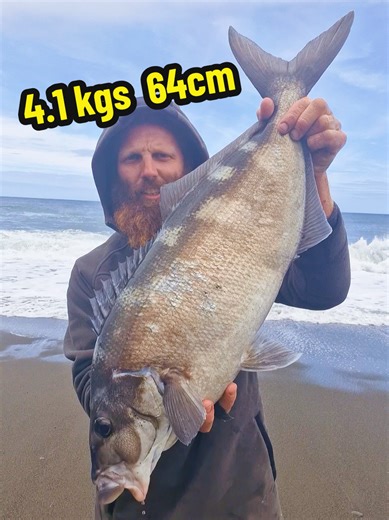 Moki Fishing Adventures: Catching Hard-Hitting Fish