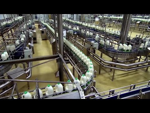 Inside The Factory How Our Favourite Foods Are Made 3of3 Milk