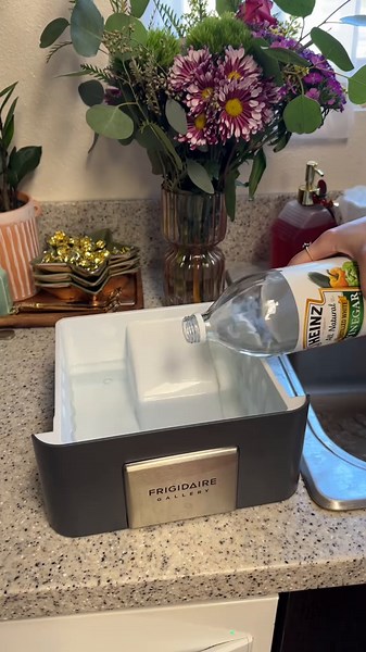 How to Clean Your Ice Machine Effectively