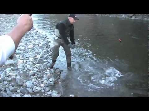 Trinity River Fall Steelhead with Don Newman