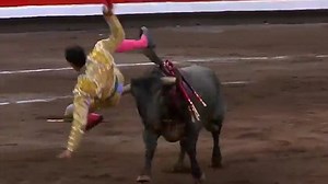 Horrific moment bullfighter gored and thrown through air