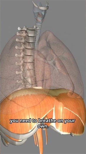 Why You Need a Breathing Tube During Surgery?