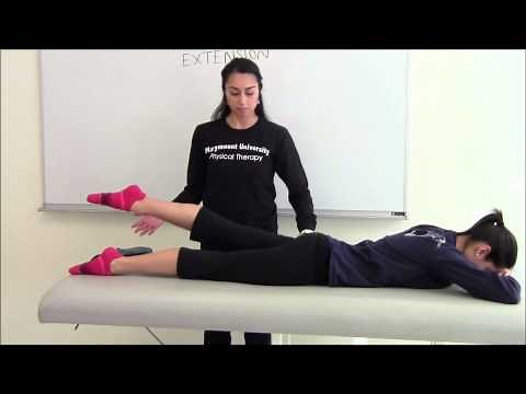 Prone Hip Extension