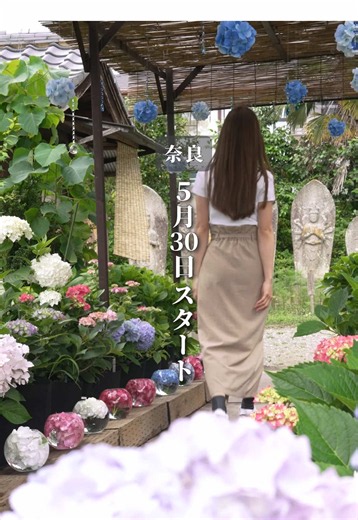 詳細と注意点は…👇 5/30スタート✨ 1,300年の歴史がある花の寺で あじさいの展示が始まったよ💠 見どころは色鮮やかなあじさいを浮かべたあじさいガラスボール✨ ガラスボールが並べられた【あじさいの小径】や、キラキラ光るクリスタルアートのある【雫の小道】も💎 所々にベンチがあったから、ゆっくりしながら見れたよ💡 ⚠️注意点 ✔︎6月3日時点で3〜5分咲 ✔︎雨の次の日は少々ぬかるみあり ✔︎ガラスボールは開花に合わせて増えていくそう ここまで読んでくれてありがとう🫶ぜひフォローもお願いします🙏 他の投稿はこちら💁‍♀️ @takayumi_trip ………………………………………………. あじさい特別拝観 2026年5月30日〜6月30日 📍般若寺 奈良県奈良市般若寺町221 💴あじさい期間 特別拝観料 700円 🕐 1〜4,7,8,12月 9:00〜17:00 5,6,9〜11月 9:00〜16:00 🚃 奈良交通乗車「般若寺」下車 徒歩約3分 🅿️有料 ………………………………………………. たかゆみフウフ【関西おでかけ】 @takayumi_trip 