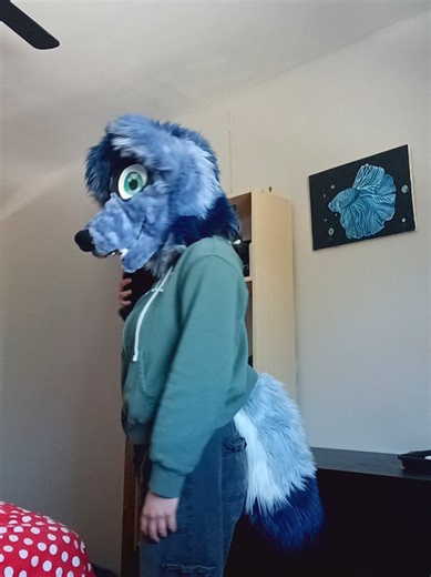 bro why do people have to be so weird (I say from my fursuit) #coyotefurry #furry #fursuit #furryfandom #fursona