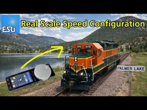 Real Scale Speed Configuration