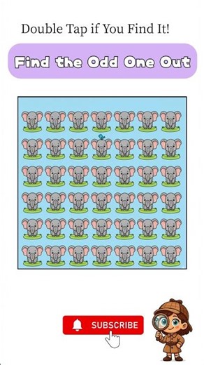 Find the One That’s Different! 👀 | Puzzle #05 | FindyGamesMomo #Shorts