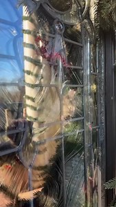 Petunia saw Home Alone and got inspired | Darci Lynne