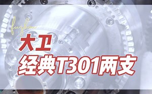 经典T301两支，这么好的头子一下到两，难兄难弟啊！看看都什么问题！