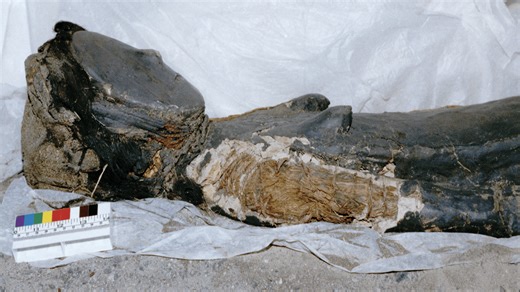 7,000-year-old mummies represent a culture that turned grief into art