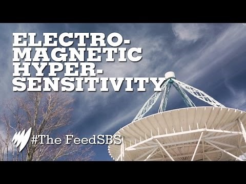 Is electromagnetic hypersensitivity real?