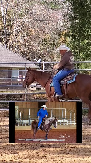 Roll back or draw back. What's the difference. | Tim Anderson Horse Training