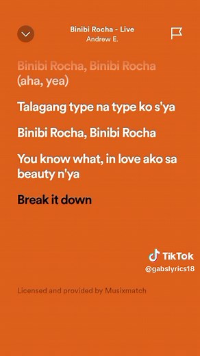 Binibi Rocha: Lyrics and Meaning of Andrew E's Hit