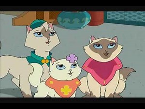 Sagwa The Chinese Siamese Cat- Royal Cats