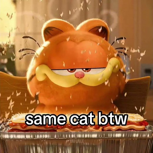 same cat btw | "yo where's the lasagne at" #garfield #hussvalley #edit #trending
