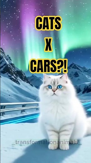 Unbelievable Cat Transformations into Epic Vehicles 😱🚗🐱