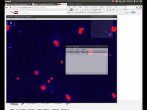 Dapi_adjusting_and_counting
