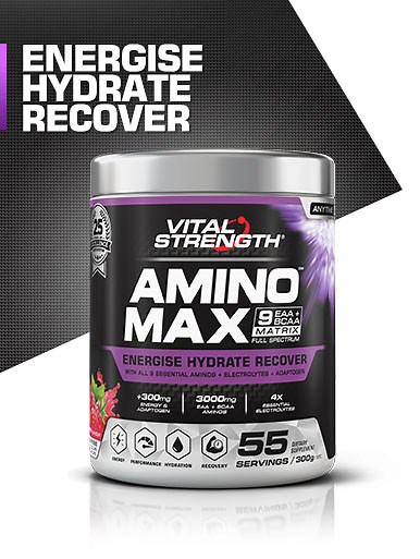 Amino Max 300g