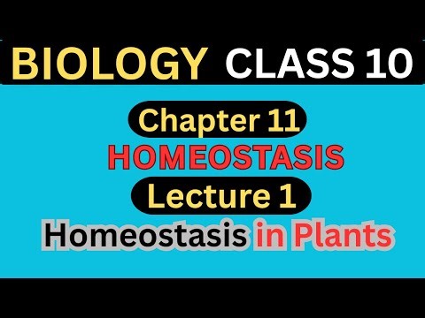 Homeostasis in plants | Chapter 11 Homeostasis | Lecture 1 | Class 10 Biology