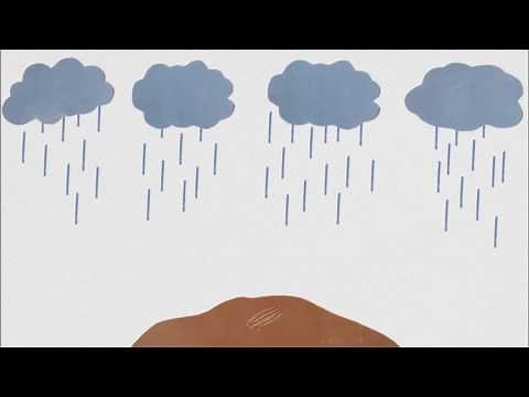 How to Improve the Environment