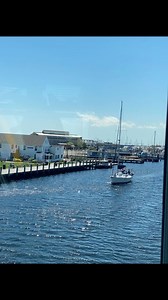 77 reactions · 19 shares | A visit to the Mystic Drawbridge Tender House. It’s so cool to watch the bridge from up there! #drawbridges #drawbridge #sailboat #sailboating #mysticriver #bridge #boats #boating #mysticct | Mystic Knotwork | Facebook
