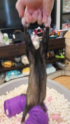 Super Cheep Double Fly