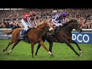 The Top 3 Sites to bet on Horse Racing 🏇Horse Race Betting🐴