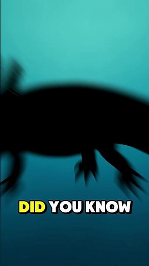 The animal that never grows 🦎✨ #shorts